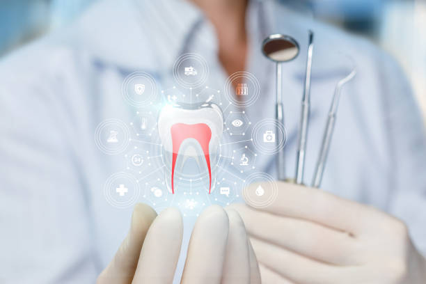 Best Dental Fillings (Composite and Amalgam)  in Kgsford Heights, IN